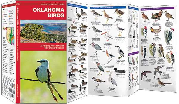 birds of oklahoma field guide Oklahoma nature set: field guides to wildlife, birds, trees.