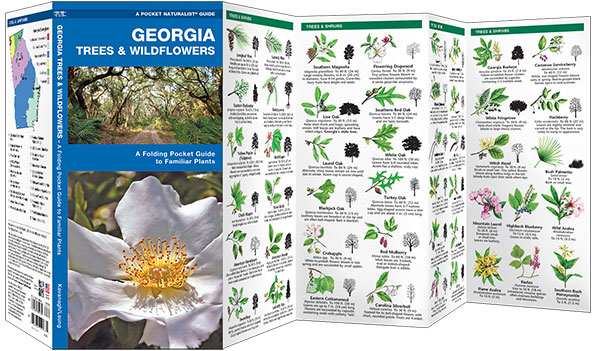 Georgia Trees & Wildflowers Naturalist Guide