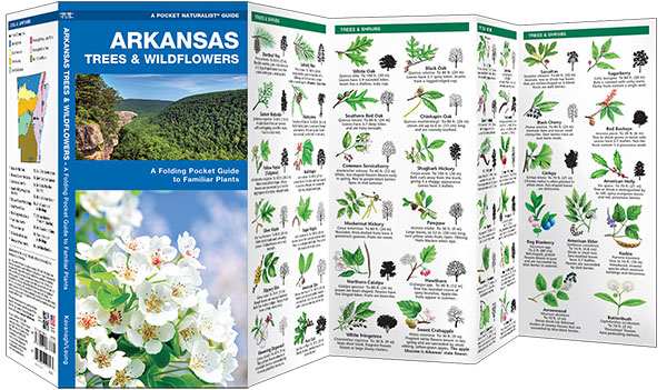 Arkansas Trees & Wildflowers Naturalist Guide