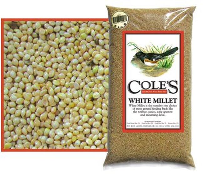 Cole's White Millet 10#
