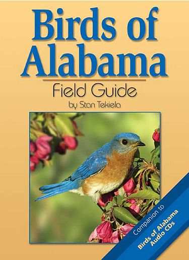 Birds of Alabama Field Guide