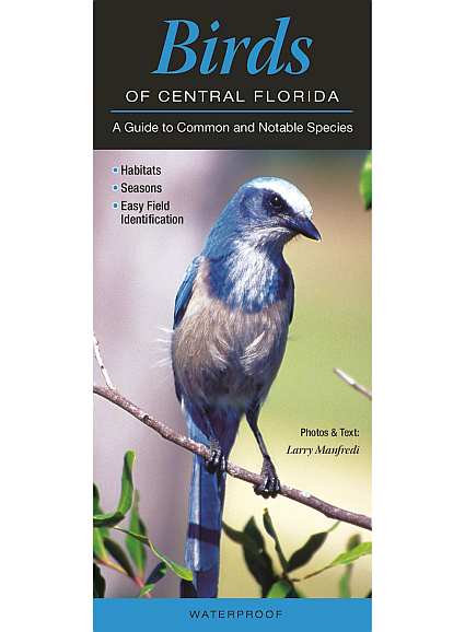 Quick Reference Birds of Central Florida