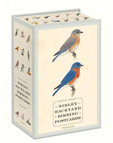 Sibley Backyard Birding Post Cards Set of 100
