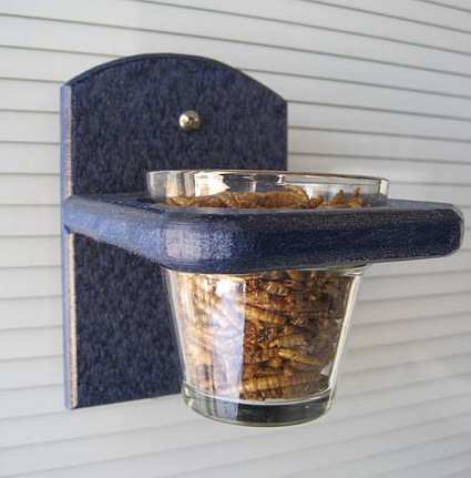 Songbird Recycled Poly Mealworm Window Feeder