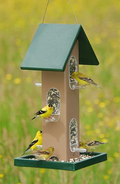 Rubicon Recycled Deluxe Tube Feeder w/Seed Tray