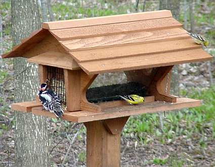 cedar bird feeder plans 187 woodworktips cedar bird feeder plans 187 woodworktips