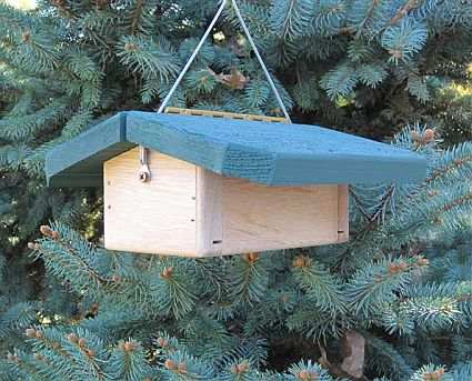 Nuthatch Upside Down Shelled Peanut Feeder