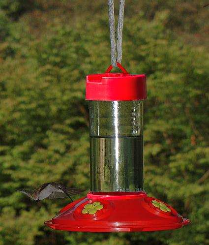 dr jbs 16oz clean hummingbird feeder red yellow dr jbs 16oz clean hummingbird feeder red yellow