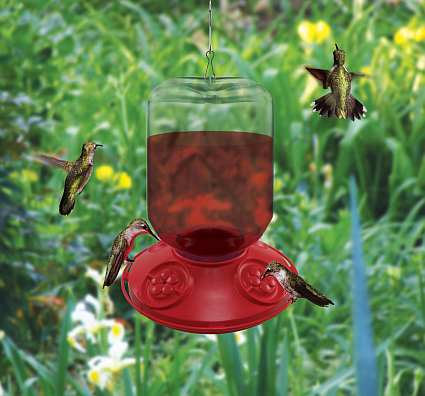 Dr. JB's Switchable 48oz Hummingbird Feeder