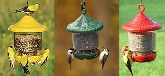 Clinger's Only Bird Feeder Assorted Tri-Pak