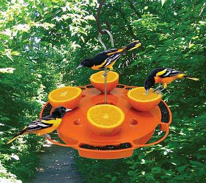 Songbird Ultimate Oriole Feeder