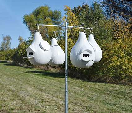 pmca excluder ultimate purple martin gourd purple martin pmca excluder ultimate purple martin gourd purple martin