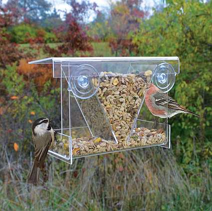 window bird feeders window mount bird feeders in house window bird feeders window mount bird feeders in house