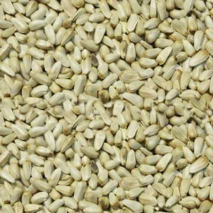songbird premium safflower seed 50 premium quality high songbird premium safflower seed 50 premium quality high