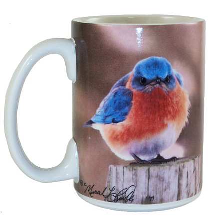 Mad Bluebird Ceramic 15 oz. Coffee Mug Set of 2