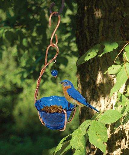 Copper Bluebird Mealworm Feeder