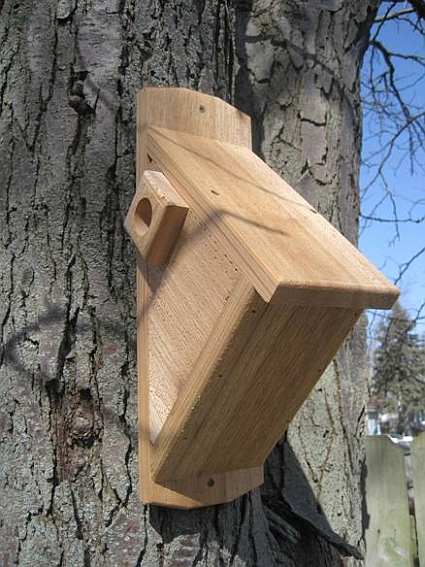 Select Cedar Nuthatch House