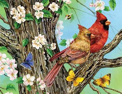 A Cardinal Pair 1000 Piece Jigsaw Puzzle