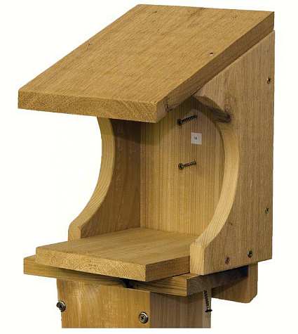 Robin Nest Shelf
