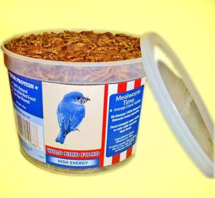 Songbird 100% Natural Dried Mealworm Value Tub