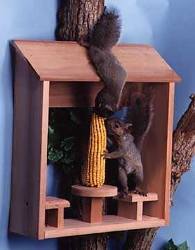 Duet Diner Squirrel Feeder
