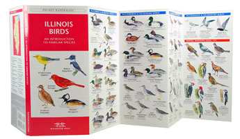 illinois birds pocket naturalist guide illinois bird illinois birds pocket naturalist guide illinois bird
