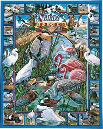 Birds of Our Shores 1000 Piece Jigsaw Puzzle