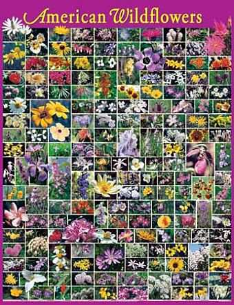 American Wildflowers 1000 Piece Jigsaw Puzzle