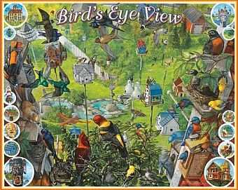 Bird's Eye View 1000 Piece Jigsaw Puzzle