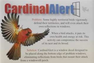 Cardinal Wingspan