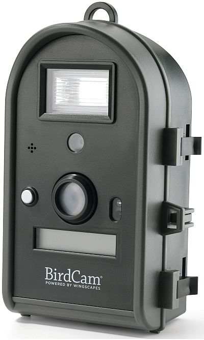 Camera Motion Activated