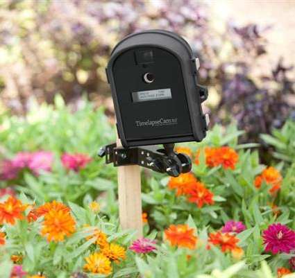TimelapseCam 8.0 Digital Garden & Project Camera