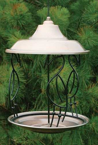 Audubon Birds of Paradise Fly Through Bird Feeder