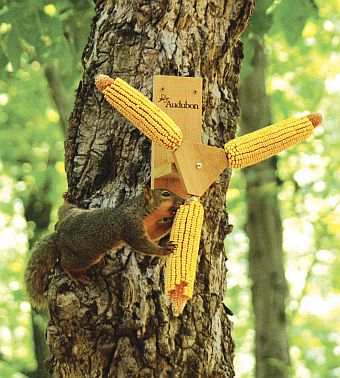 Woodlink Spin-A-Cob Squirrel Feeder