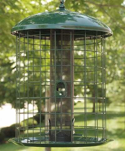 audubon caged squirrel resistant mesh bird feeder quality audubon caged squirrel resistant mesh bird feeder quality
