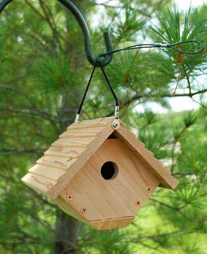 Audubon Traditional Wren House