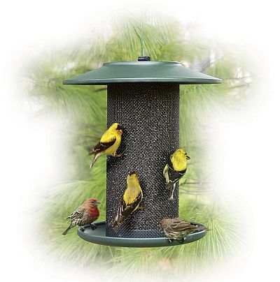 Green Steel Magnum Thistle Bird Feeder