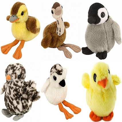 Audubon Singing Baby Bird Collection Set of 6