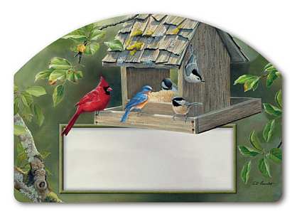 Backyard Feeder Yard DeSign