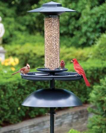 Effortless Birdfeeder