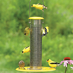 Bird's Choice Stainless Steel Nyjer Feeder