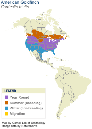 American Goldfinch Range Map