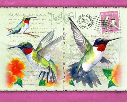 Hummingbird Postcard Tall Tumbler 24 oz.
