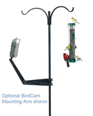 Optional Audubon Birdcam Pole Mounting Arm