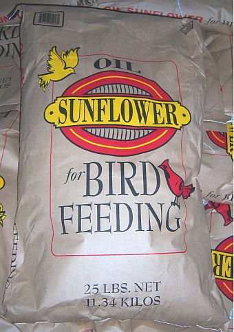 Songbird Supreme Black Oil Sunflower Bird Seed