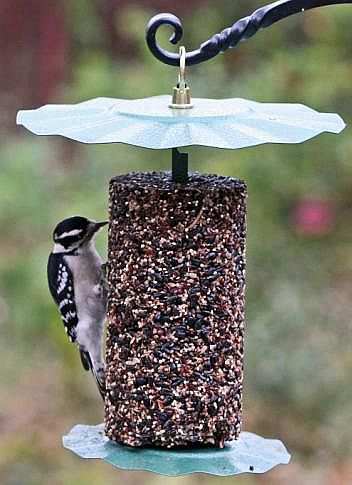 All Metal Cylinder Seed Cake Feeder