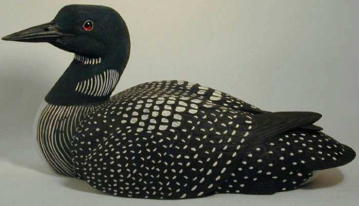 common loon drawing. 2011 Common Loon-Winter