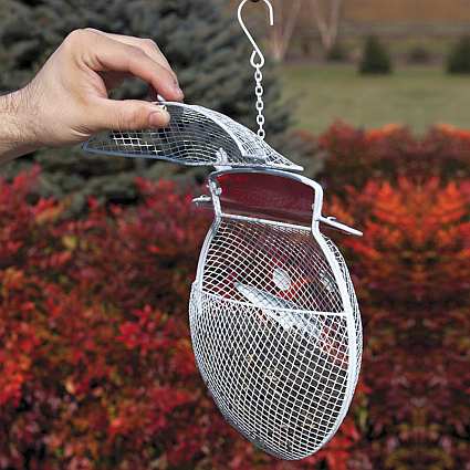 Snowman Wire Mesh Feeder