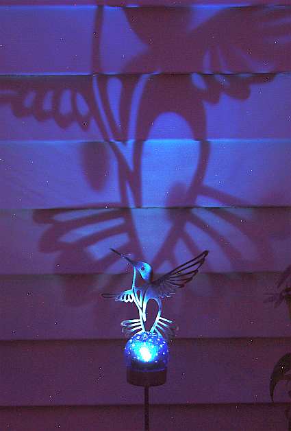 Hummingbird Solar Shadow Stake at Night