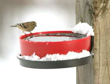 Wild Bird Deluxe Solar Sipper with Mounting Bracket